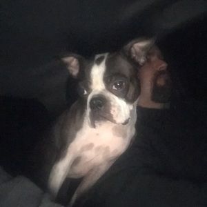 Meet your Posher, Deanna